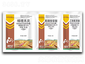 �����󶹳����ײ�-���̻����pϲ-�������r(n��ng)