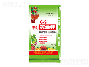 �����S���-��������