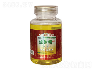 ���w��-��������