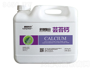 ���������|̦�}-��������