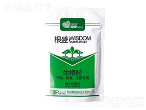 根盛-深浪-睿智益農