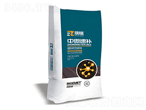 ��΢���a(b��)-���\�}�V�F-��ֲ-���w�~�� 