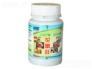 ������-���d����