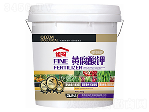 ���}������S�����-�欔-�ʰl(f��)����