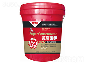 ����s���}������S�����-�欔-�ʰl(f��)����