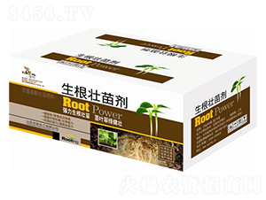 ���b�������焩-�欔-�ʰl(f��)����