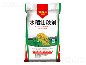 水稻壯秧劑-爆米花-億美生物