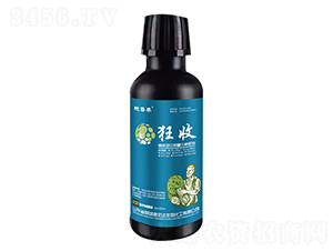 �~���(l��i)�ʹ������(zhu��n)��-����-���_(d��)��