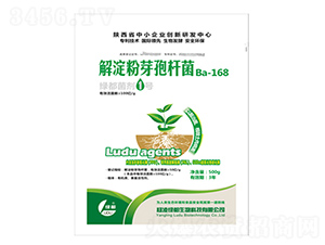 �G������1̖(h��o)-�G��