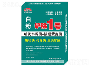 �׷۲��P��1̖-(li��n)�r(n��ng)���S��