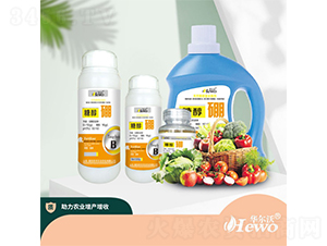 �Ǵ���-�A����