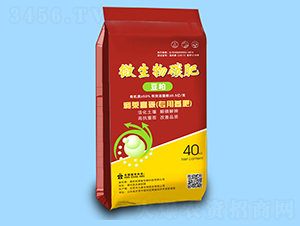 ΢����̼��-���R̼����