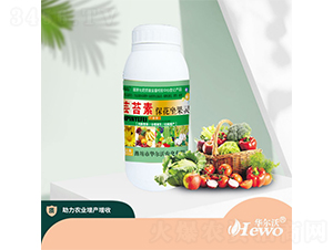 �|̦�ر��������`-�A����