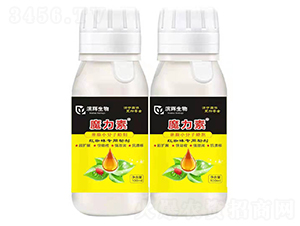 �t֩�댣������-ħ����-�I�x����