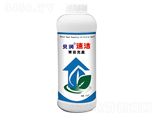 ��̦����-ؐ�����ٝ�-ɭ������