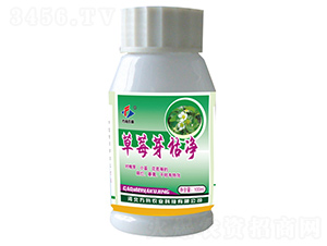 ��ݮѿ�݃�-�����r(n��ng)�I(y��)