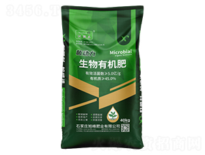 �����ЙC��-������-���ʘI(y��)