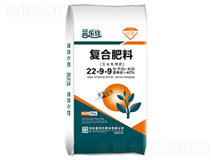 ���׌��ÏͺϷ���22-9-9-�ܵ��|