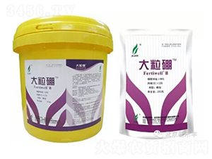 ������-�G���r(n��ng)�I(y��)