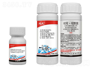 40%��ù��������Ҹ���-���o-�¹چ̵�