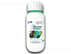 ��ҹ���L-�~�O-�殀����