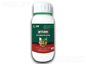 ��������߮a(ch��n)���I(y��ng)�B(y��ng)Һ-������L(zh��ng)-�殀����