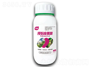 �ڷ�������-��̼-�殀����