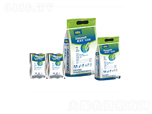 ���徫-�W����-���L�`