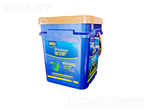 ø�⺣����-������-���L�`