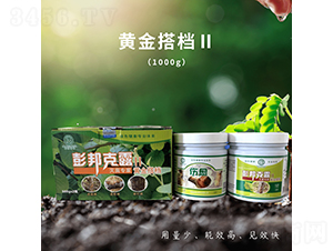 �����¶���S���n-��������