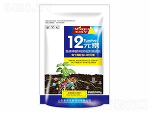 12Ԫ��-��������