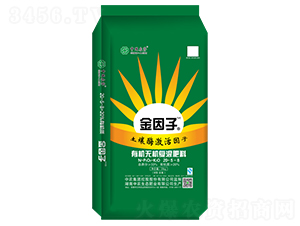 �ЙC(j��)-�o(w��)�C(j��)��(f��)�����20-5-8-������1+1-���r(n��ng)���B(t��i)