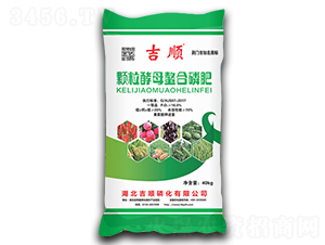 �w����ĸ�����׷�-���