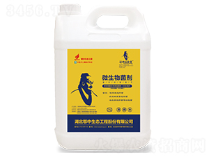 ΢�������-Ǫ��-�������B(t��i)