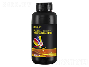 ����Ԫ��ˮ�ܷ���-ī�a��-������