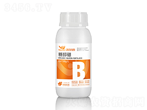 300g�Ǵ���-�֠��~