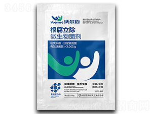 ��������-�֠��~