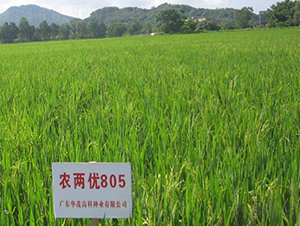 �r(n��ng)�Ƀ�(y��u)805-ˮ���N��-�Aï�߿�