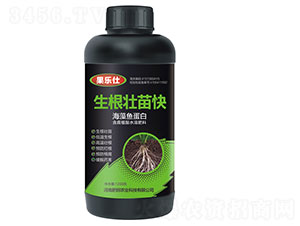 ���������-������-�����r(n��ng)�I(y��)