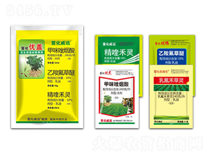 ��������ͨ���ͳ��݄�-�滯��(y��u)�w-�滯���h(yu��n)