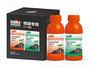 �������á�1+1�͡�-���{(l��n)��