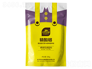 �����X-ʷ����