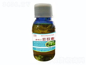 �������|̦��-�˰�����