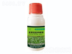 �²˿����B(y��ng)����-�˰�����