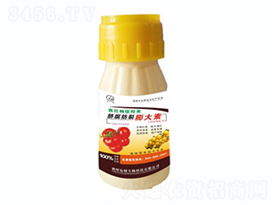 ���t��Ě�����������-��(bi��o)������