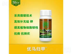 ��(y��u)�R�w��-��(y��u)�R����