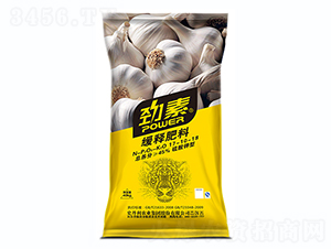 ���⌣�þ�ጷ���17-10-18-����-ʷ����