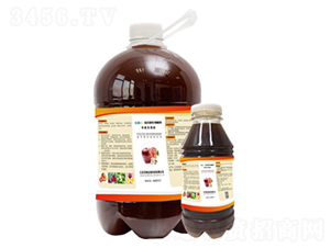 �O�������͏�(f��)��΢�������-�ּ{����