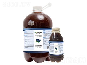 �{ݮ�����͏ͺ�΢�������-�ּ{����