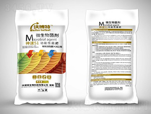 ����51�����Ծ���25-10-16-�ֲ���